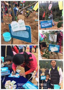 碧桂園植樹節(jié) 佩悅傳媒以專業(yè)公關策劃，賦能綠色品牌行動