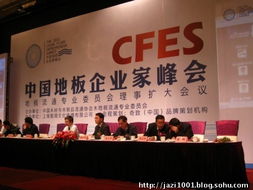 奇致品牌全程策劃，2011中國地板企業(yè)家峰會盛典圓滿落幕