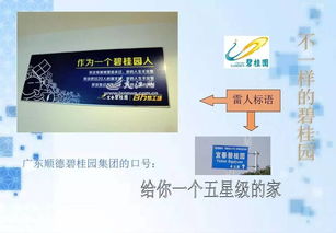 碧桂園的公關策劃 以匠心筑家，以真誠溝通